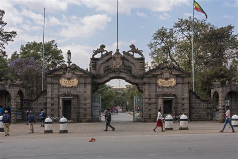 Addis Ababa University .